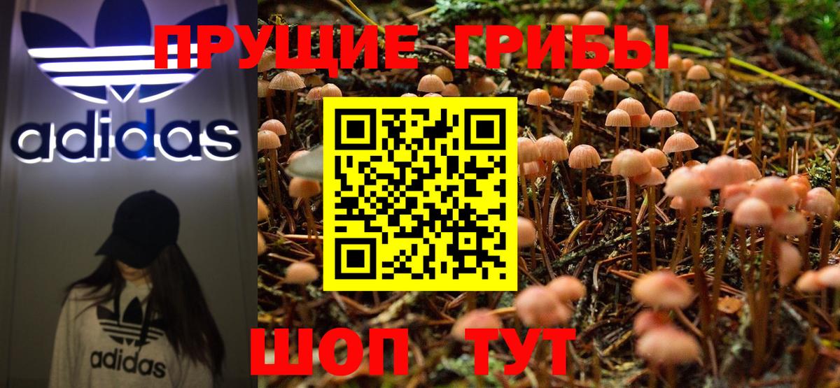 Ангарск  Галлюциногенные грибы Psilocybine cubensis  Вход с VPN 